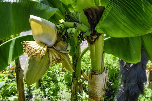 Bilder aus Honduras