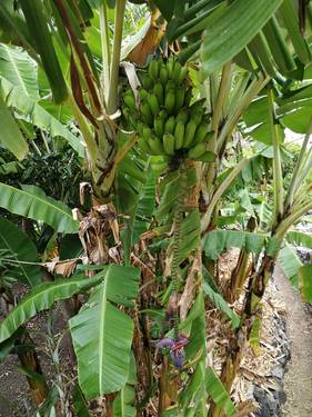 Bilder aus Honduras