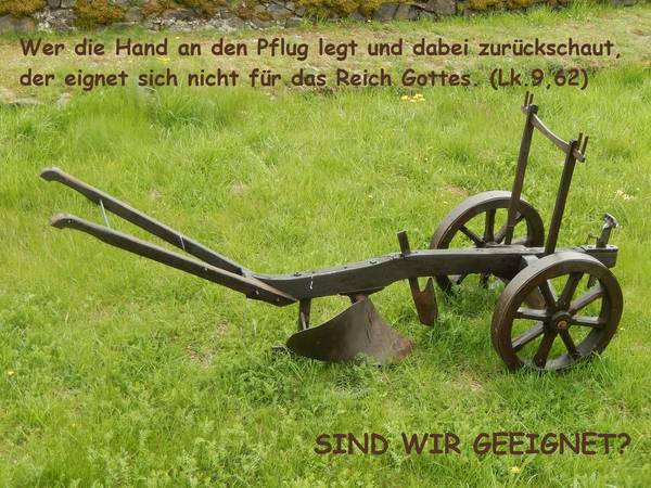Quelle: Girochantal auf Pixabay & Nicole Deutscher
